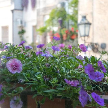 Caminanti Bed & Breakfast Lecce Exterior foto