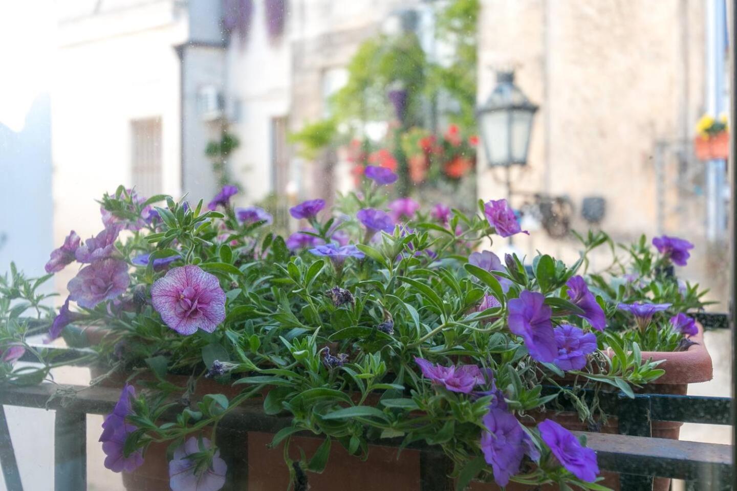 Caminanti Bed & Breakfast Lecce Exterior foto